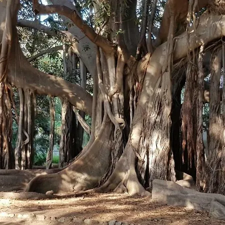 Casa Albergheria * פלרמו